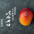 パルメロ二次予約受付開始のお知らせ