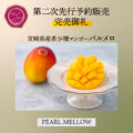 二次販売終了及び三次販売について