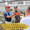メディア情報解禁