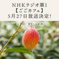 NHKR1ラジオ第1【ごごカフェ】にて「パルメロ」をご紹介いただきました。