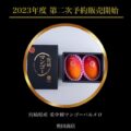 第二次予約販売開始のお知らせ