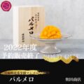2022年予約販売終了