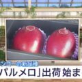 NHK宮崎様にてテレビ取材して頂きました