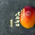 第一次先行予約販売終了のお知らせ