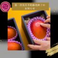 【第一次先行予約販売終了のお知らせ】