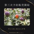 第三次予約販売開始のお知らせ