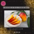 第五次予約販売開始のお知らせ